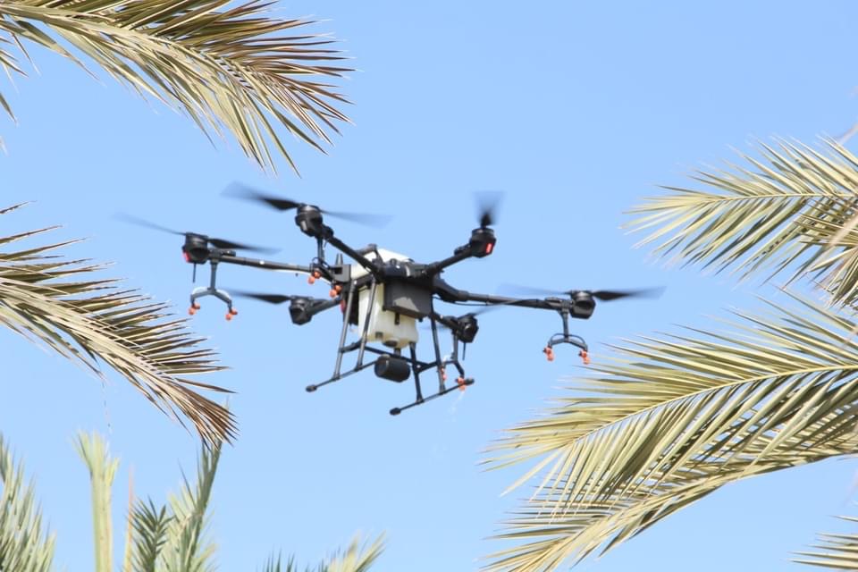 بالصور: طائرات مسيرة تُنبت النخيل