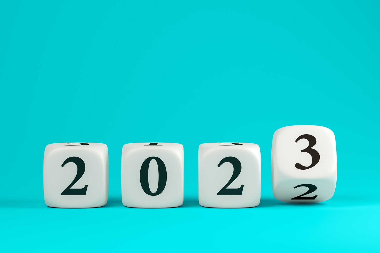 موسى الفرعي يكتب: نهار رأس عام 2023؛ وداع أم احتفال!