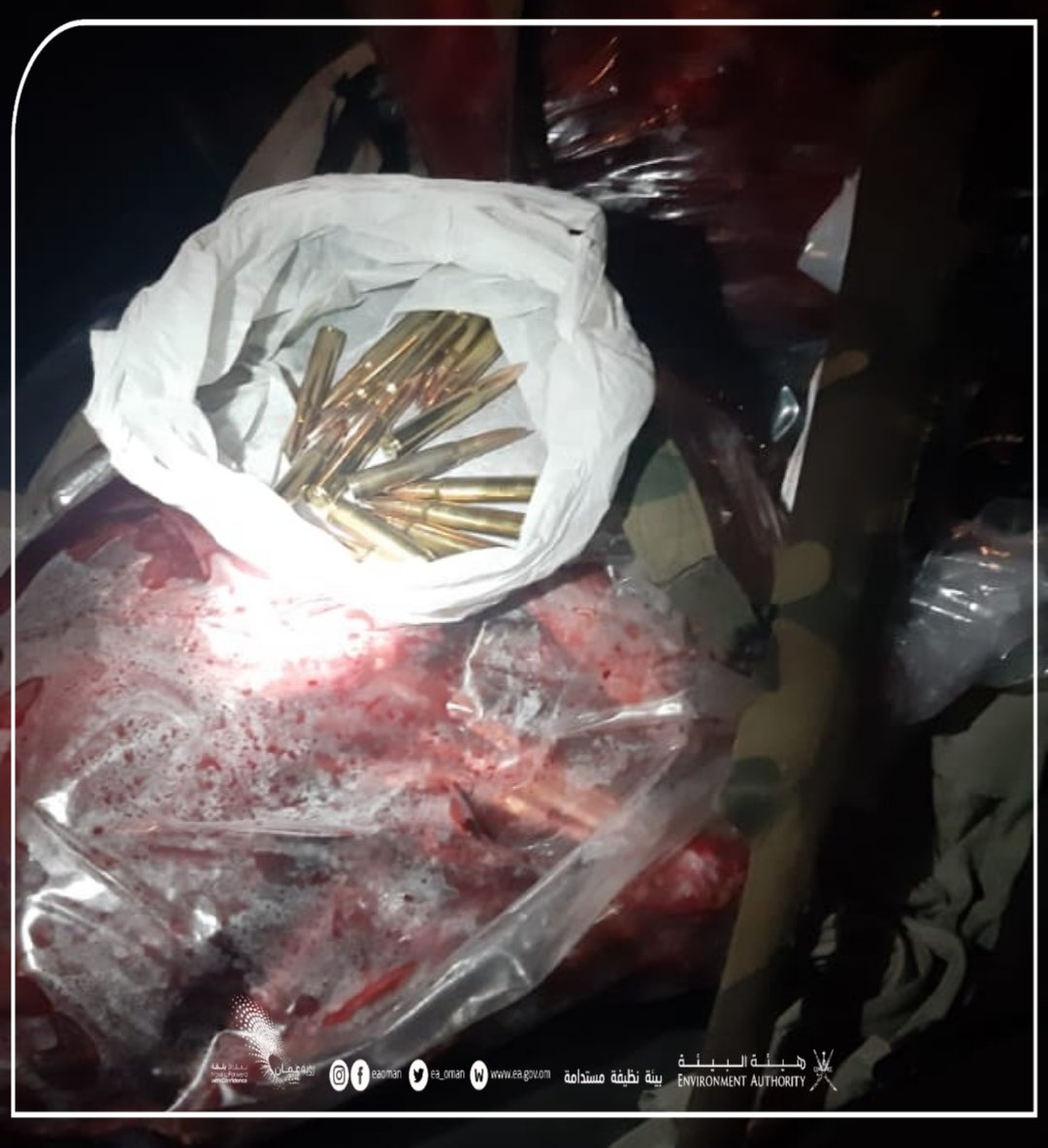 بالصور: القبض على صائدي غزال عربي