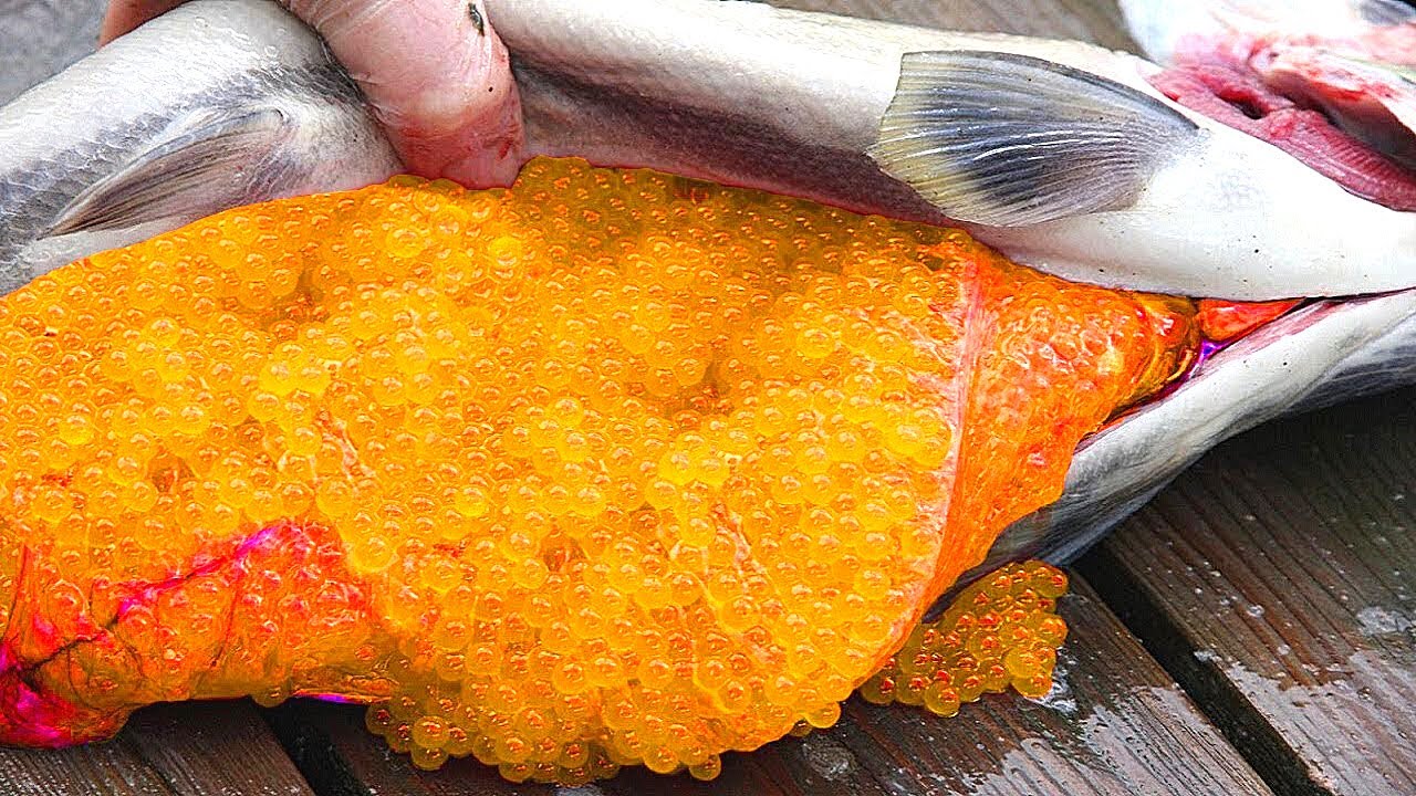 “بيض السمك” يؤكد البعض بأنها وجبة لذيذة؛ فهل جربتها؟