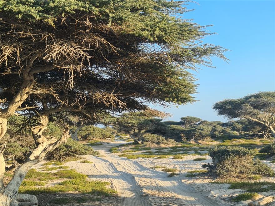 بوادر لنجاح المزارع الإنتاجية في هيماء
