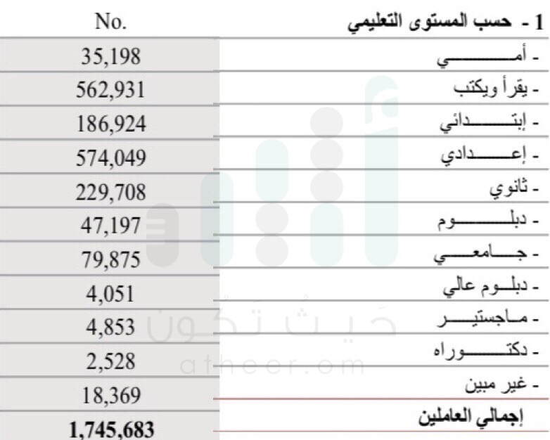 Processed with Rookie Cam