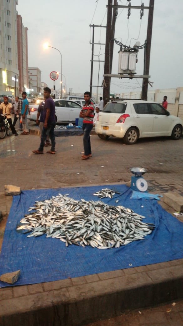 ‏البلدية والشرطة تُداهمان مواقع للباعة المتجولين