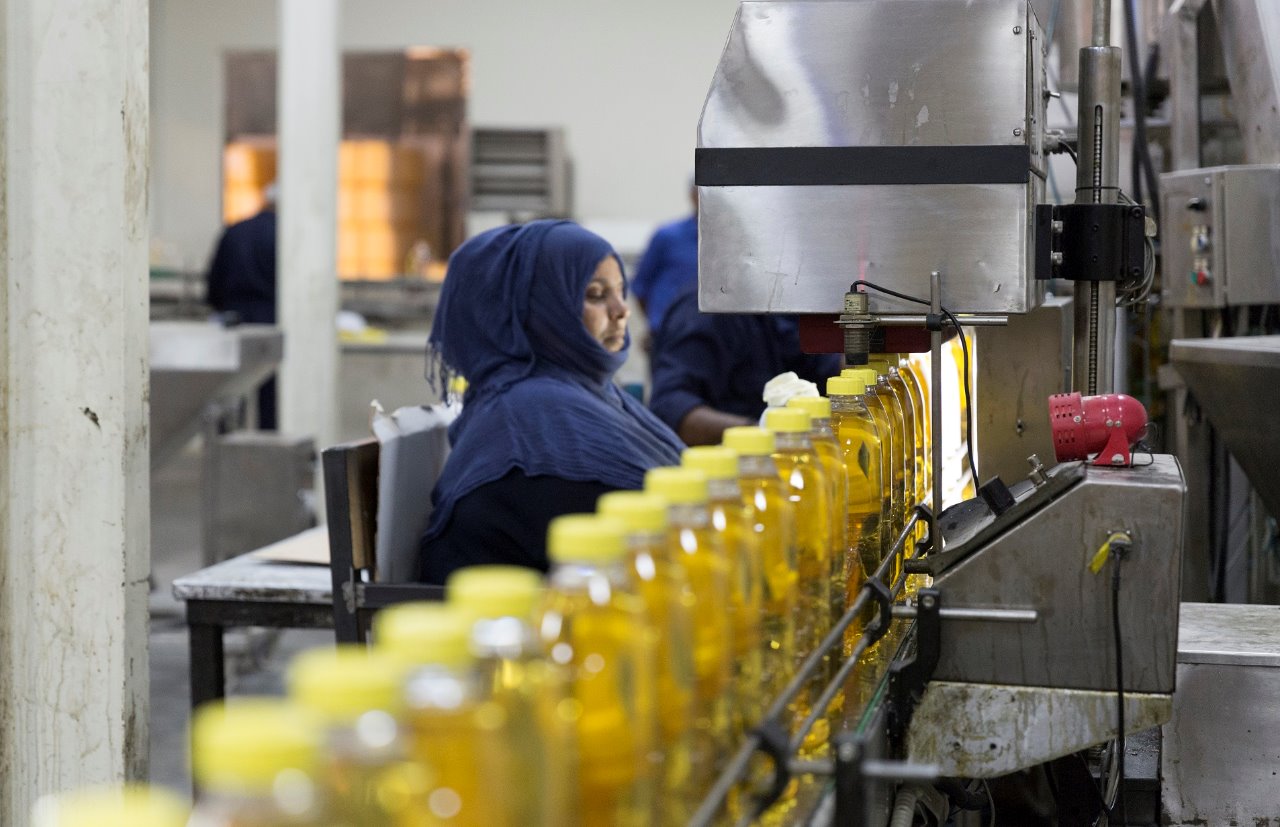 الاستثمارات تتدفق إلى “ريسوت الصناعية”.. ومديرها العام يوضح بالأرقام