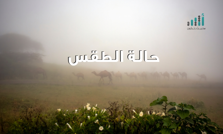 توقعات الطقس لليوم الخميس