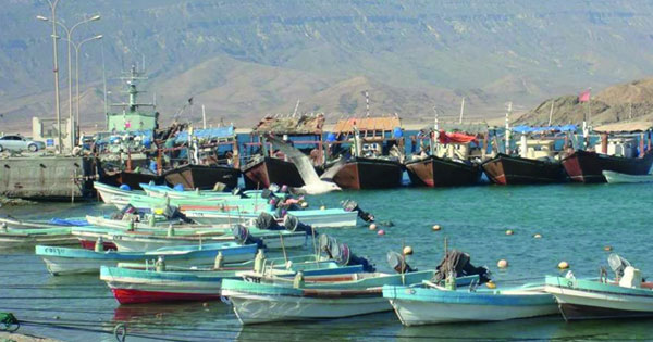 بعد يومين: صيد الكنعد مسموح به