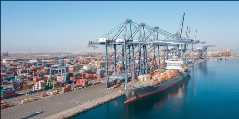 بالأرقام: نمو المبيعات المُؤمّنة بـ “كريدت عُمان”