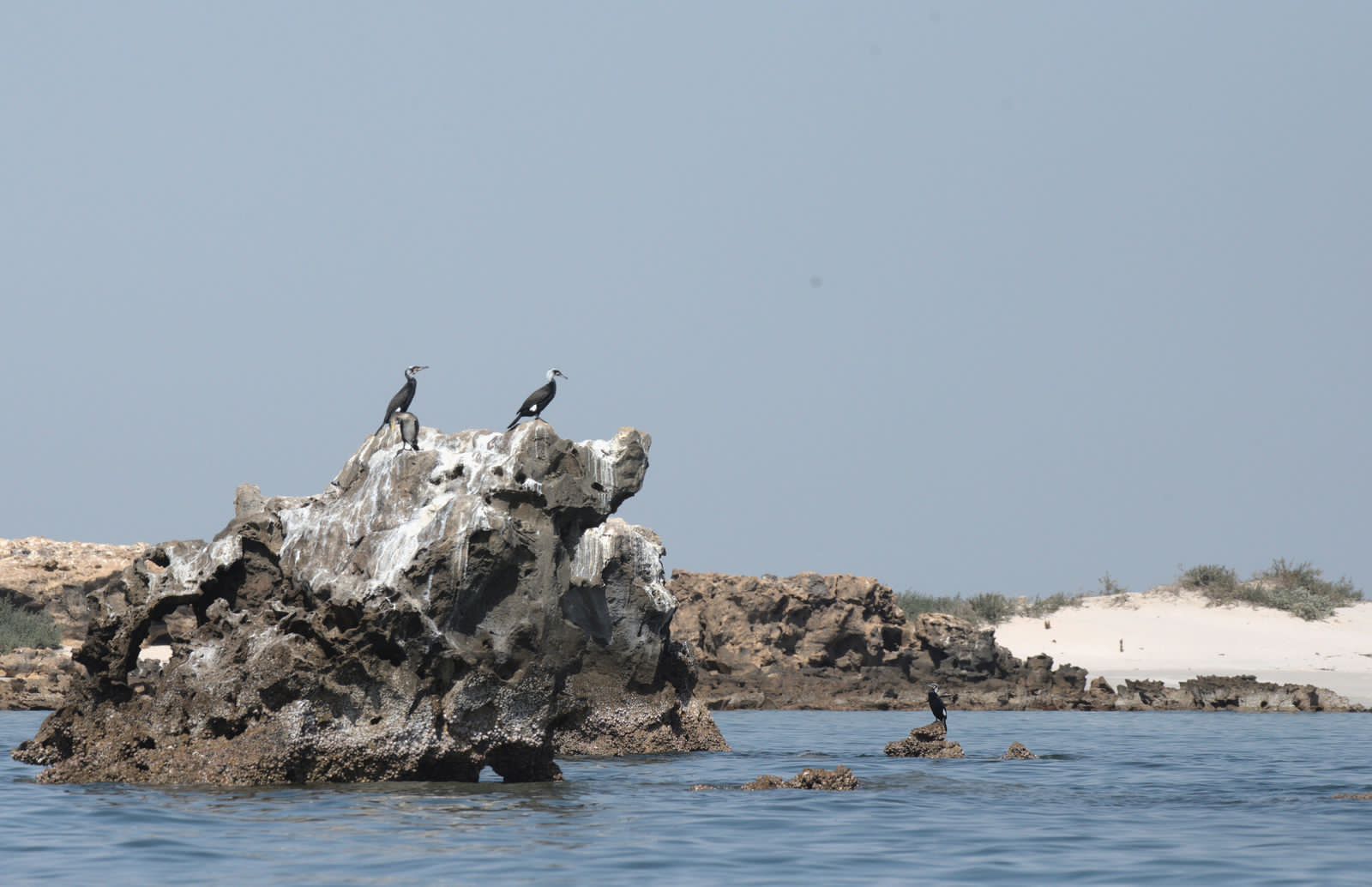 بالصور: موقع عُماني يُعتمد ضمن قائمة الأراضي ذات الأهمية الدولية