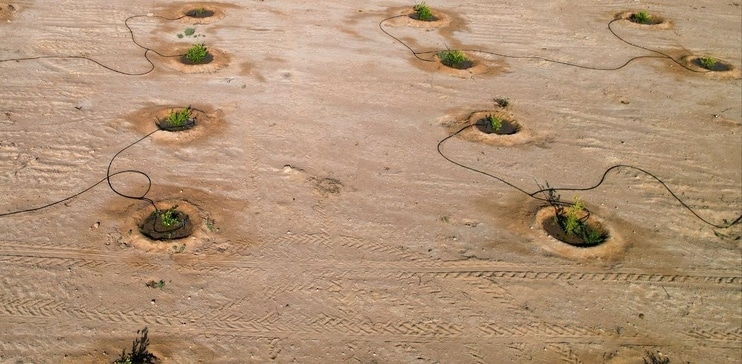 سيسهم في تحقيق الأمن الغذائي: إطلاق أول مشاريع الاعتماد الكربوني
