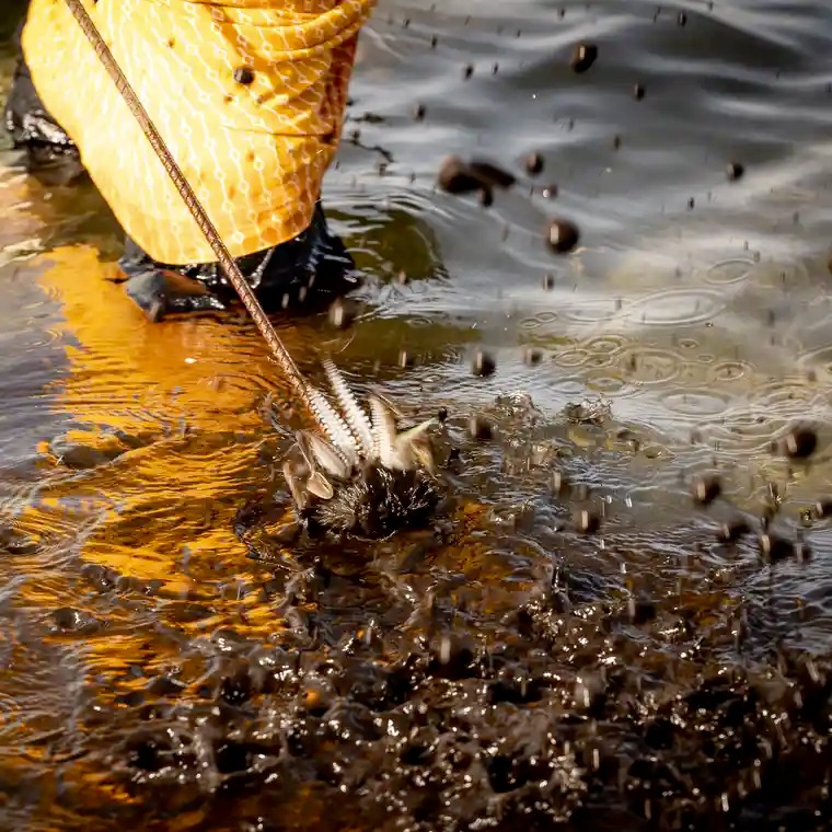 الغارديان البريطانية تروي قصة نساء عُمانيات مع مهنة الصيد