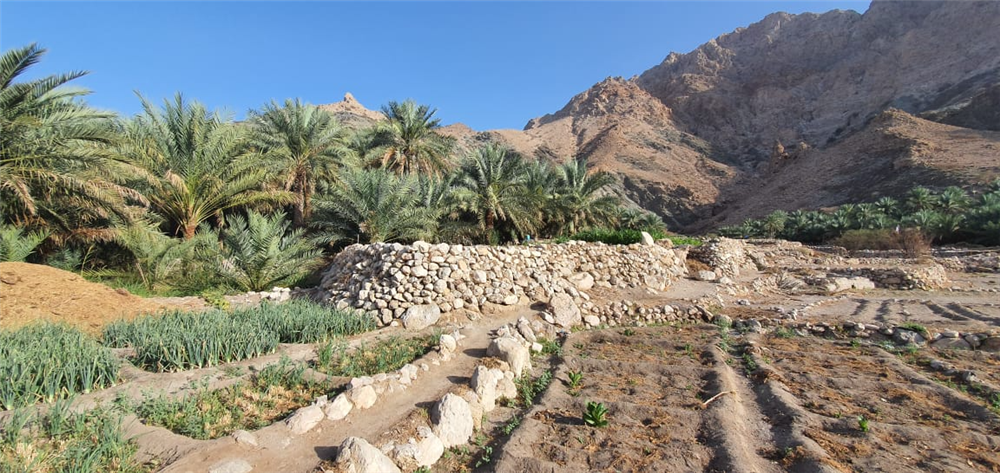 تعرف على قرية “سمكت”