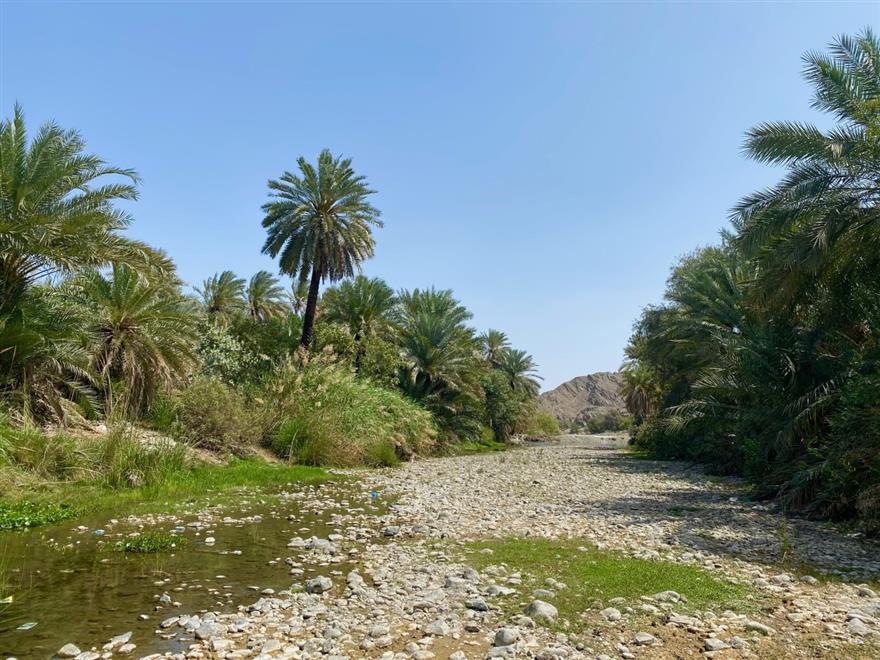 “الثوارة” عين أخرى في لوى