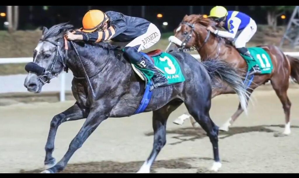 مراكز جديدة مُتقدمة للخيول العُمانية على المضامير الإماراتية