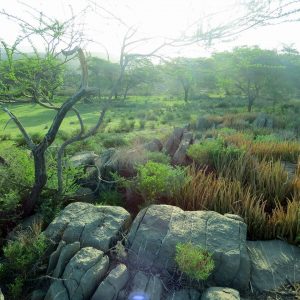 وجهة للاسترخاء والتخييم: قرية عمانية تكتسي بالأخضر فترة طويلة