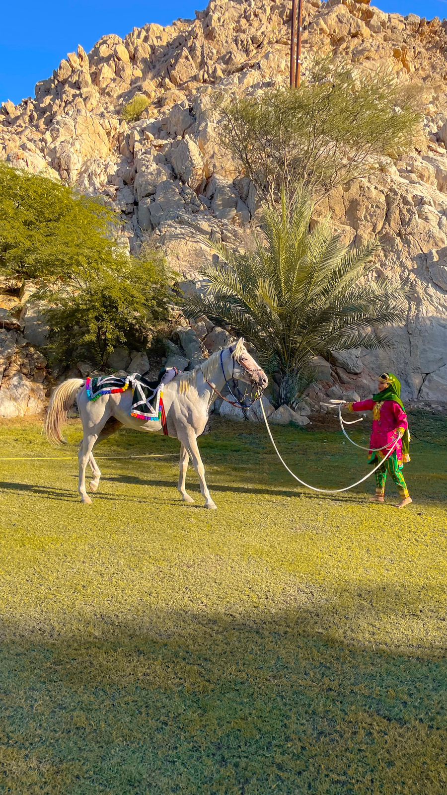 عمانية تستثمر شغفها بالفروسية في افتتاح مربط خاص