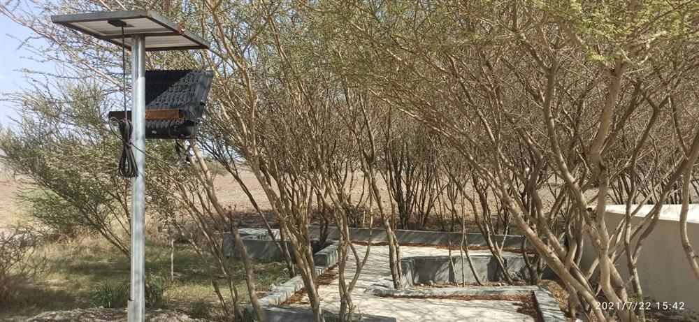 ممشى بإنارة تعمل بالطاقة الشمسية