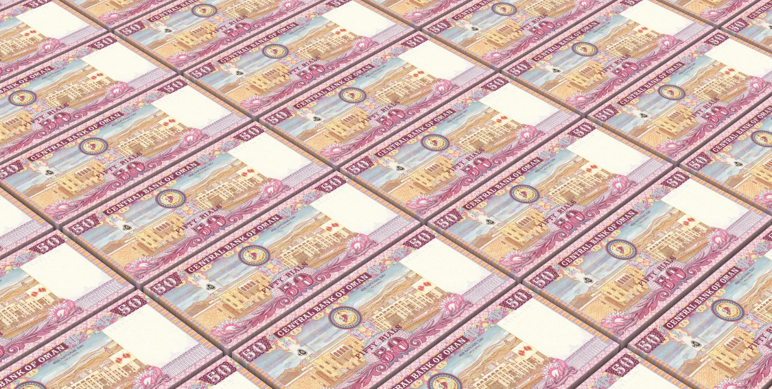 تضمنت ٦ فصول: تفاصيل لائحة أعمال خدمات الأموال