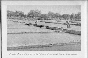منها الأفغاني مدّعي النبوة وانفجار روي: أحداث وقعت في السلطنة عام 1963