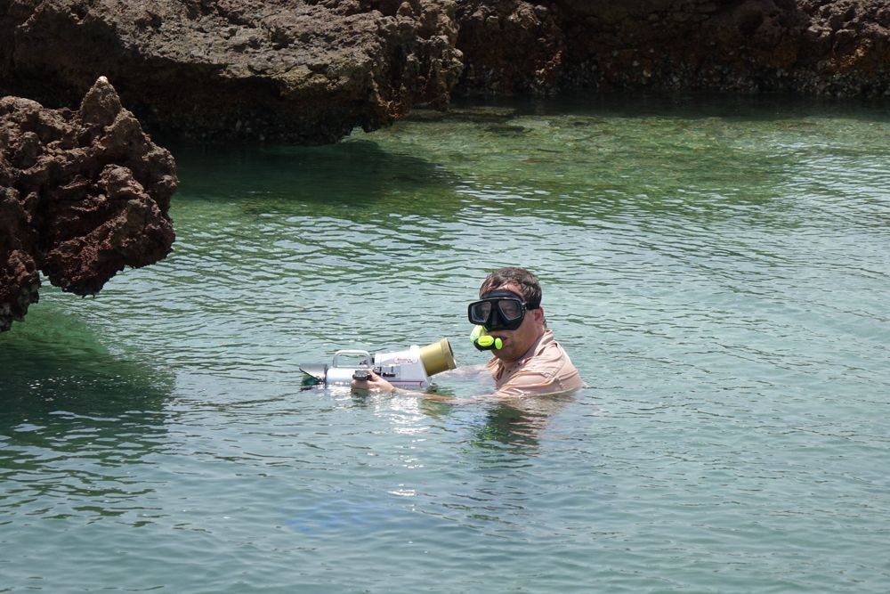 الصقر الأدهم…فيلم وثائقي عن الطائر المهاجر في السينما المحلية الأربعاء