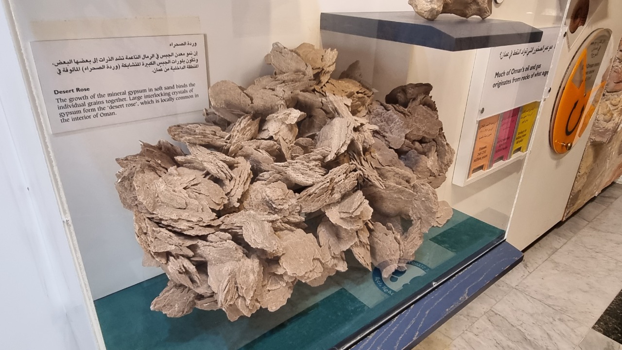 هل شاهدت “وردة الصحراء “؛ إليك صورها ومعلومات عنها