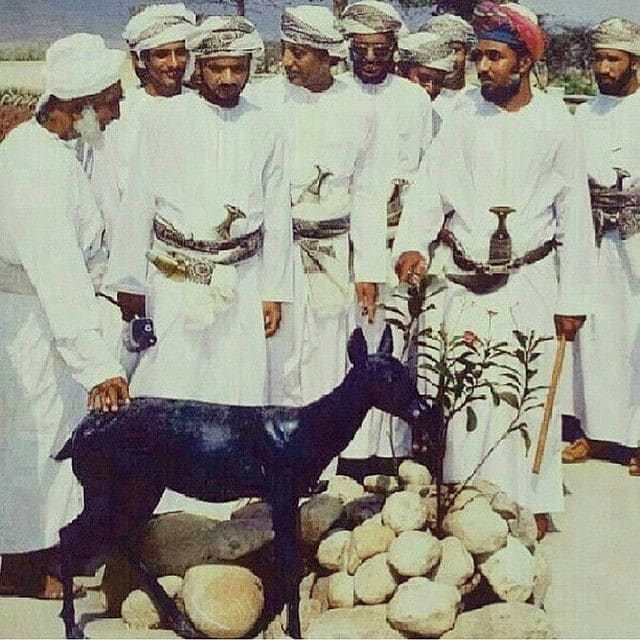 عاصر عددًا من الأئمة والسلاطين: ملامح من السيرة العطرة للسيد محمد بن أحمد البوسعيدي