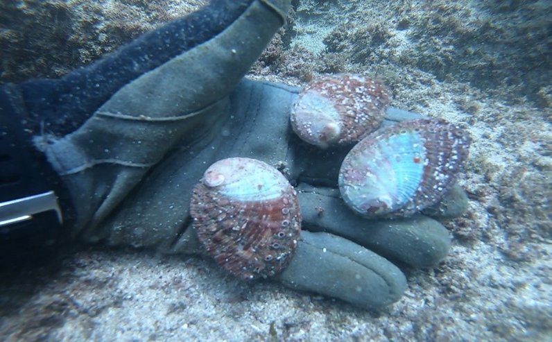 الاستزراع السمكي يؤتي ثماره؛ إليك إحصائياته