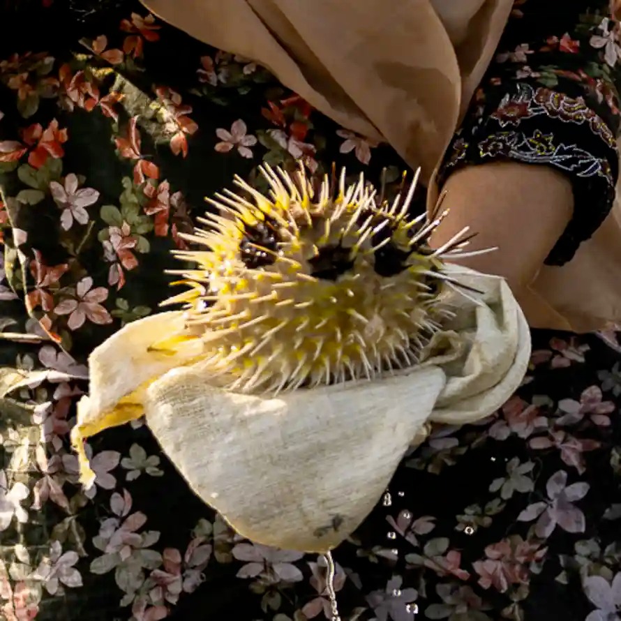 الغارديان البريطانية تروي قصة نساء عُمانيات مع مهنة الصيد