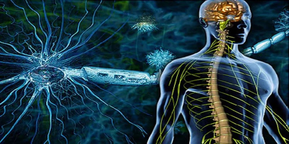 النساء أكثر عرضة للإصابة به: دكتور يوضح حول مرض التصلب اللويحي المتعدد وأعراضه