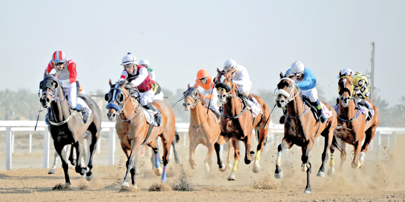 بتوجيهات سامية: انطلاق سباقات الخيل بالرحبة غدا