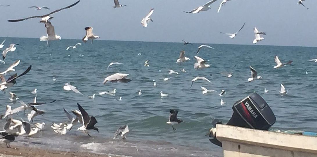 العثور على المواطنين المفقودين في البحر