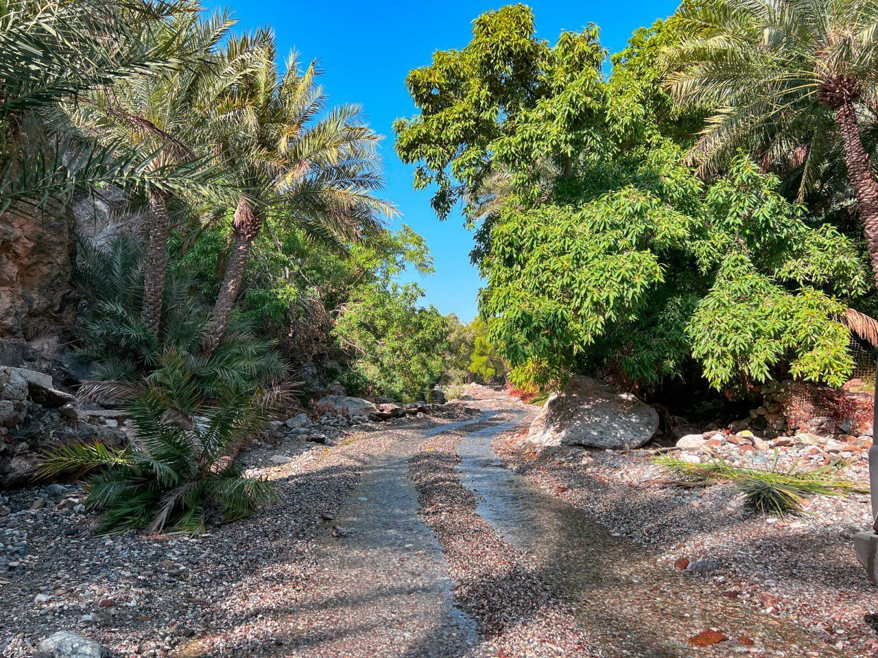 ولاية مدحاء.. حضور استثنائي في الجغرافيا العمانية