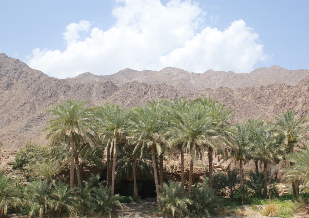 “العوينة” عين ماء عذبة دائمة الجريان