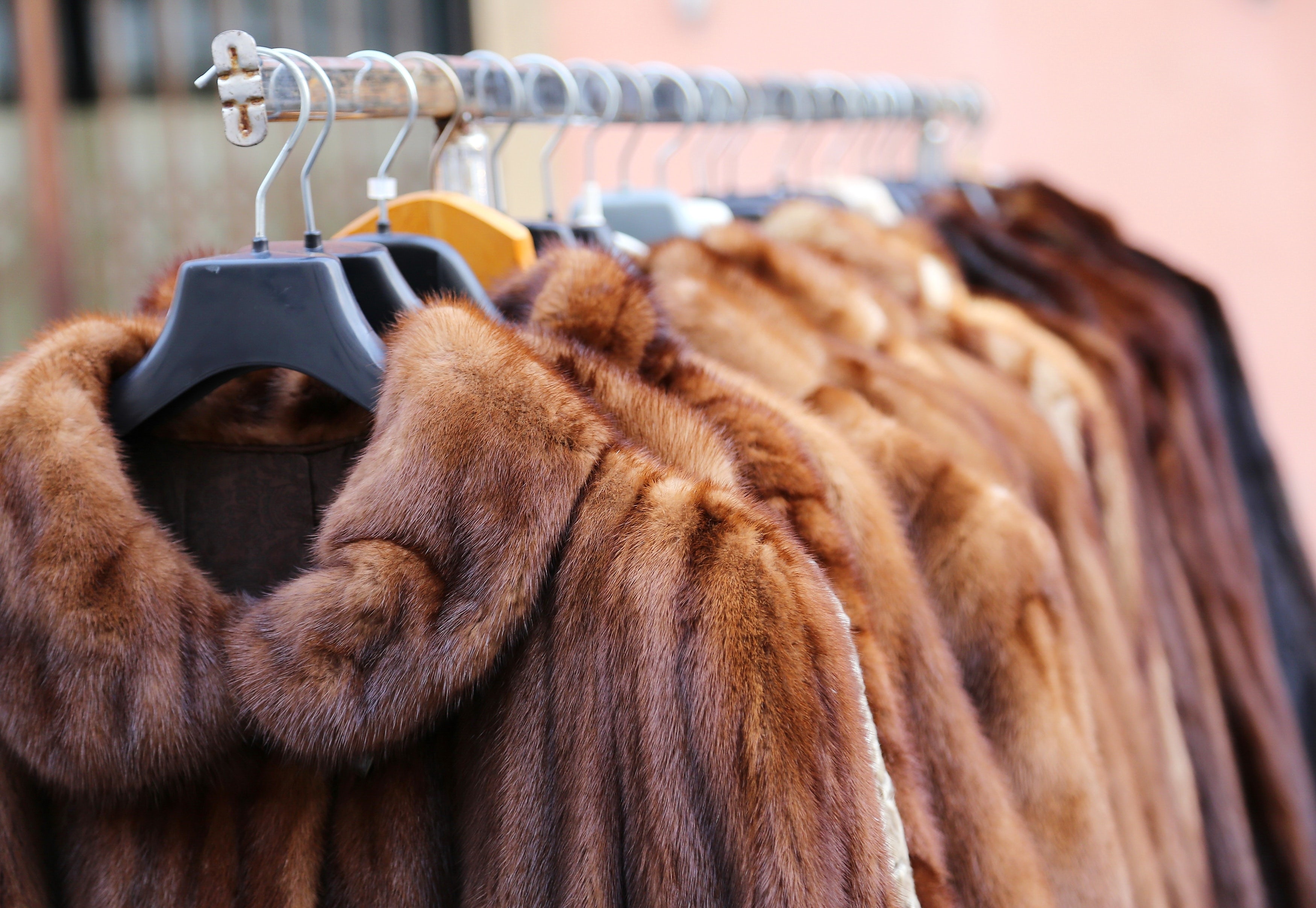 Op-Ed | Fashion's Fur-Free Future | BoF