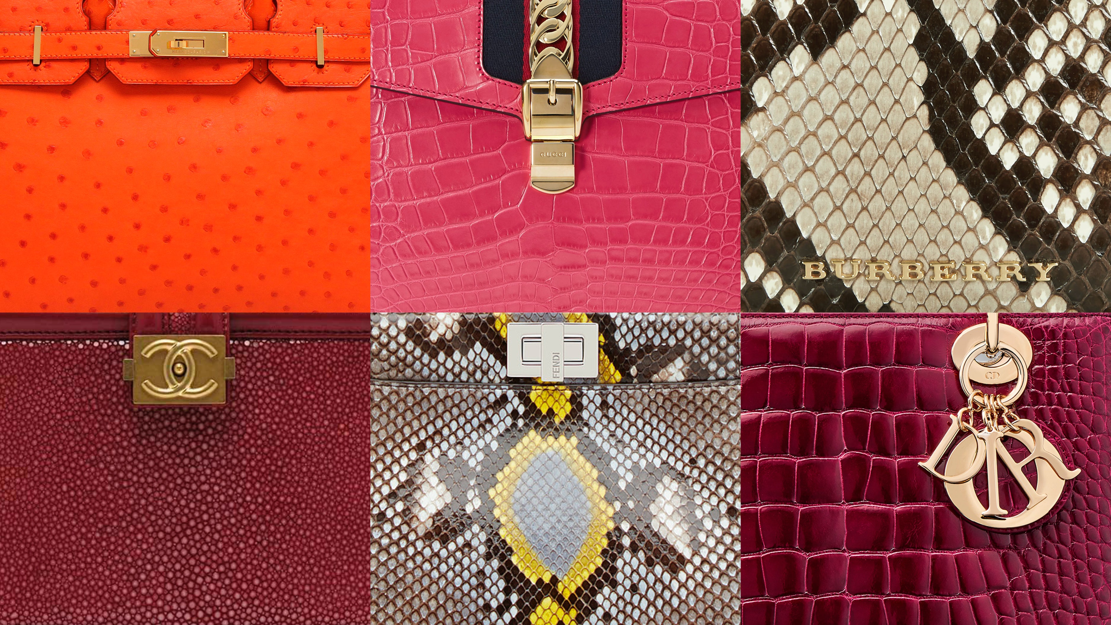LVMH to boost measures for 'responsible supply' of crocodile leather