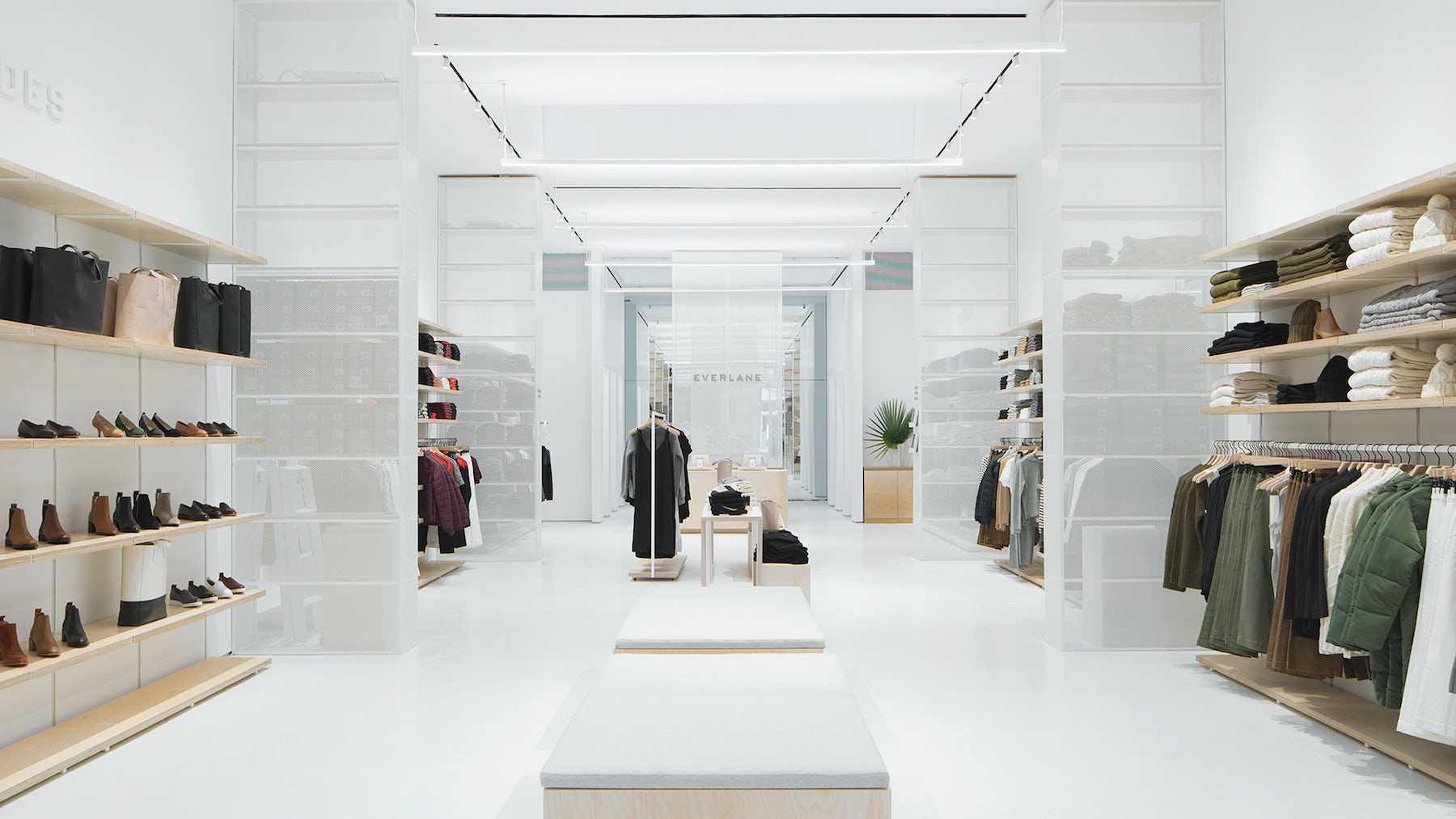 Can Everlane Get Back on Track?