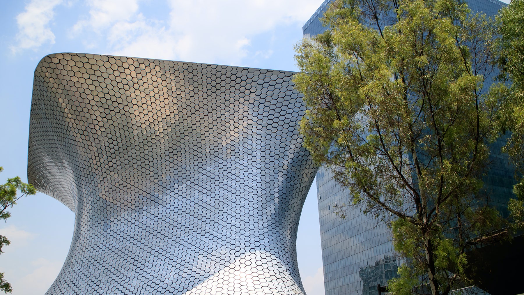 Mexico Enters the Limelight | BoF