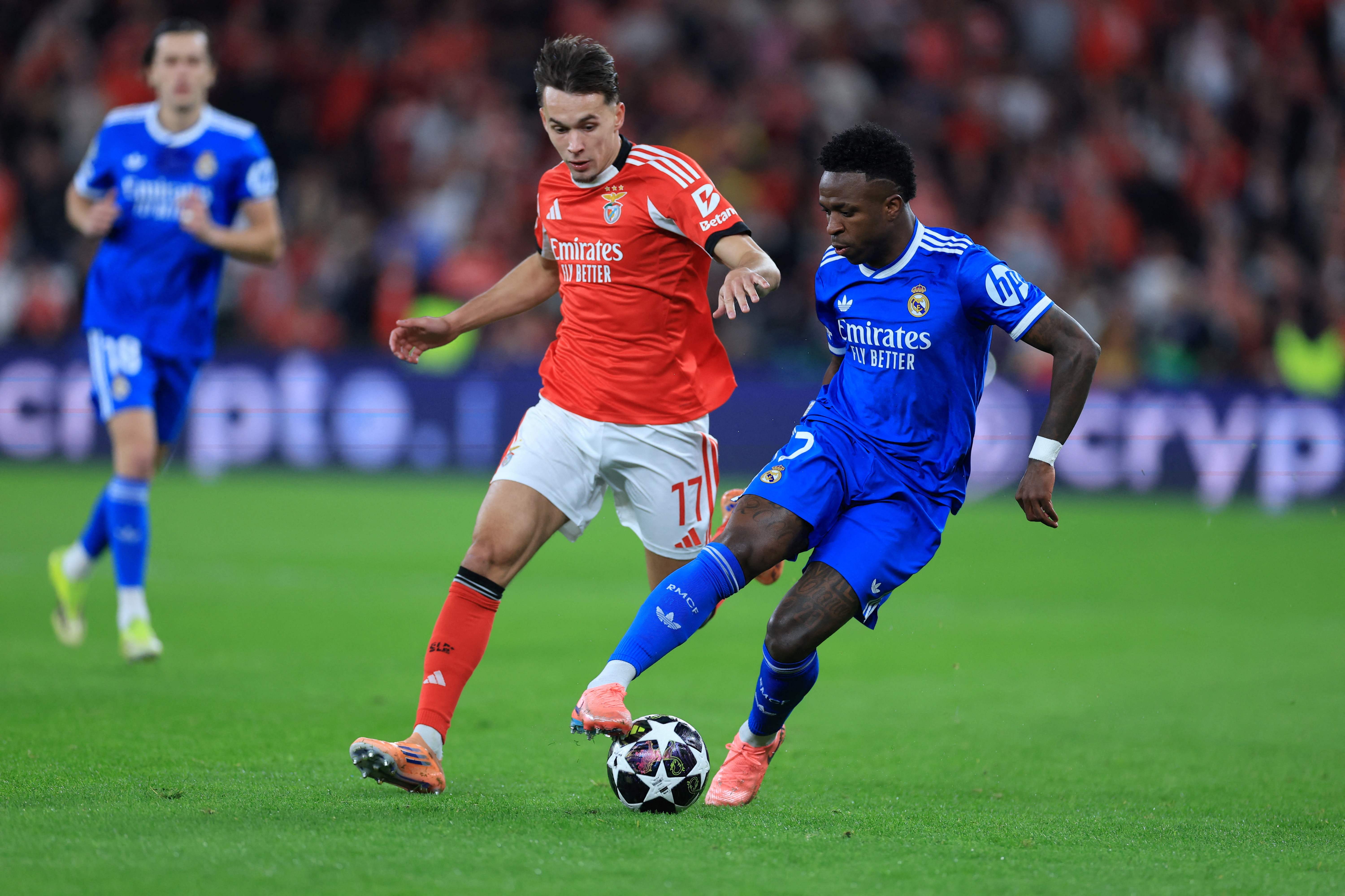 Vinicius y Amar Dedic