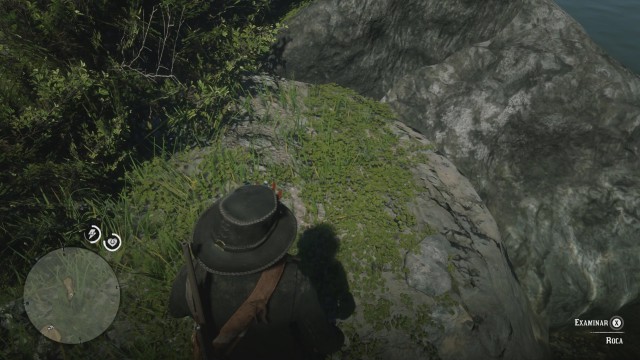 Red Dead Online Tesoro Oeste de Cumberland Forest /Cumberland Forest West  Treasure Map Location 