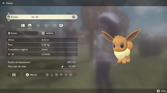 Where to find Eevee in Pokémon Legends Arceus and how to evolve it -  Meristation