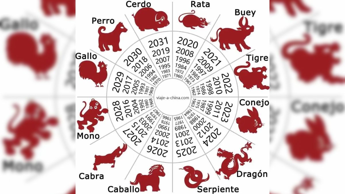 Año Nuevo chino 2023: predicciones : Horóscopo Chino 2023: ¿cuál es su  animal y sus predicciones?