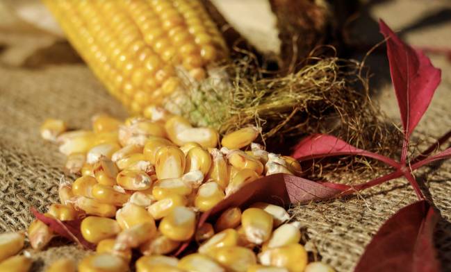 Alimentos que nunca deberías calentar en el microondas