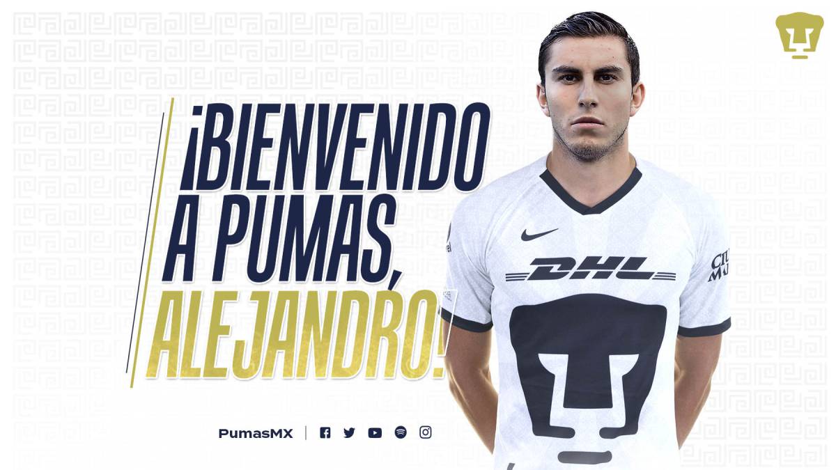 mayorga pumas