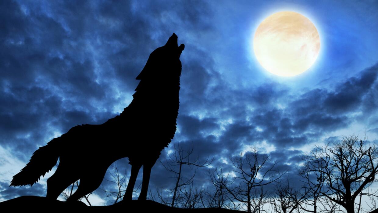 Luna llena de Lobo 2023: Origen, cuándo y dónde verla en México - AS México