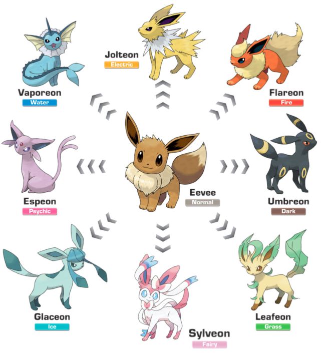 How to evolve Eevee in Pokemon GO: all evolutions and names
