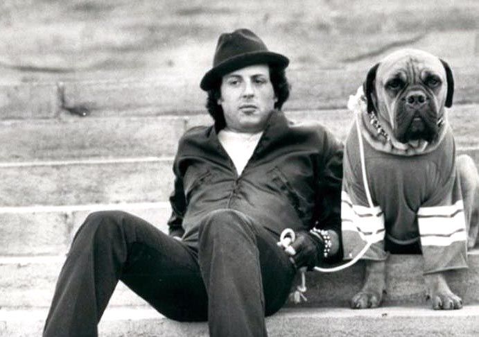 El día que Stallone vendió a su perro Butkus por solo 40 dólares antes del éxito de 'Rocky': “No podía permitirme ni siquiera comer” - Meristation