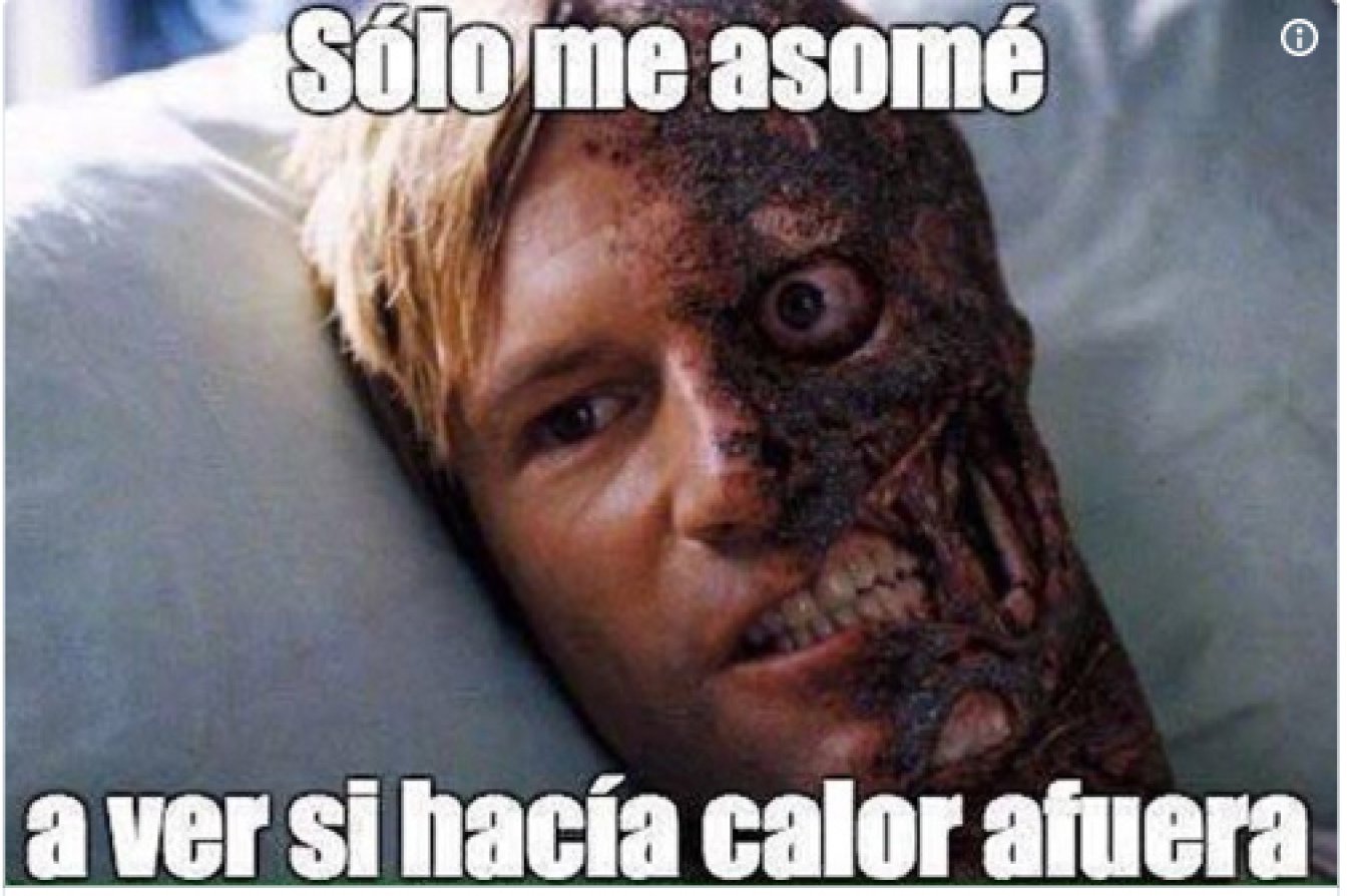 Los mejores memes para tomarse con humor la ola de calor - AS.com