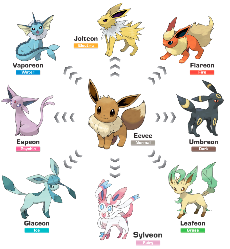 Competitivo en Pokémon: Guía Completa desde 0 - Team Eevee