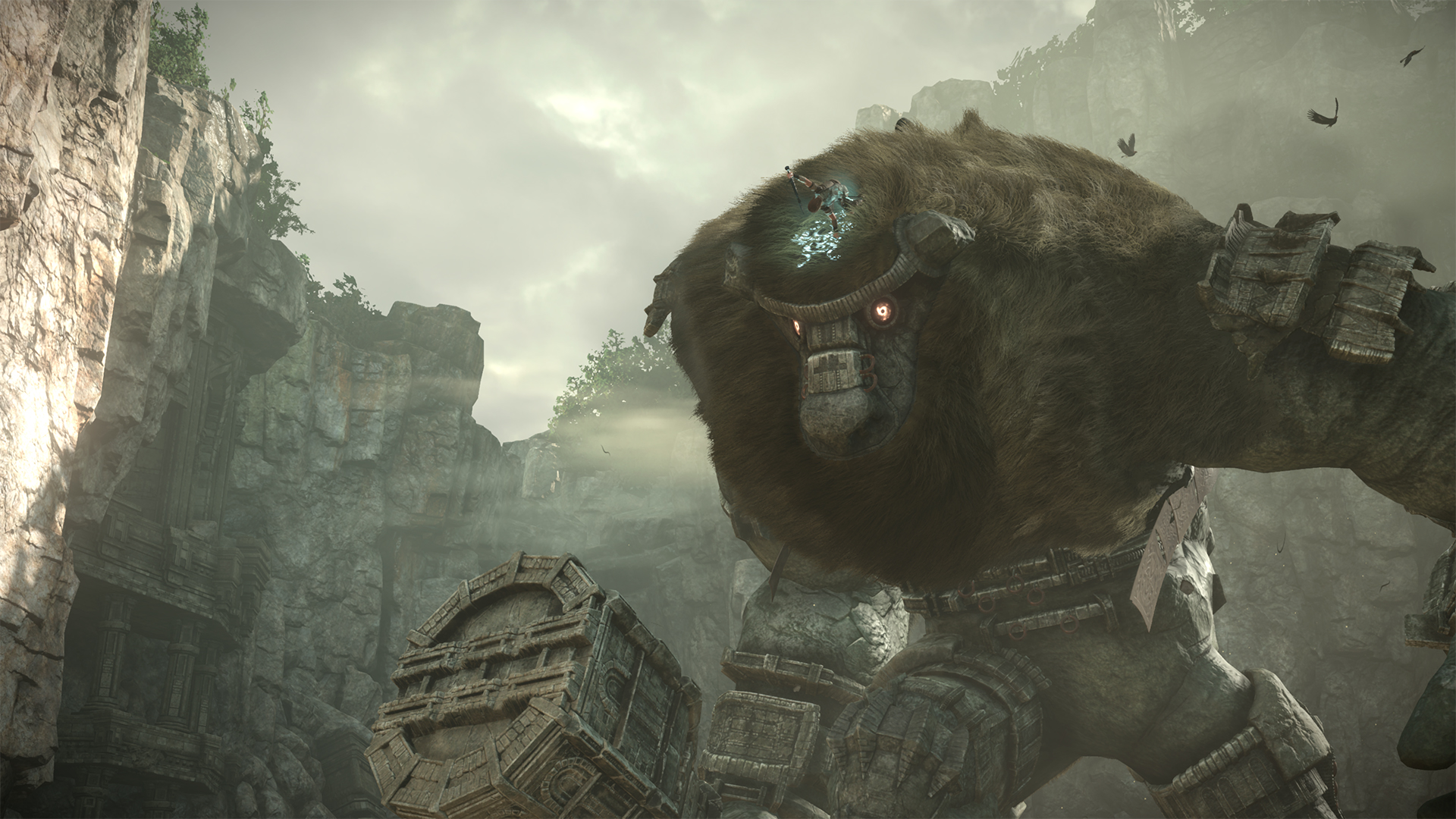 Shadow of the Colossus: compara tú mismo las diferencias en PS2, PS3 y PS4