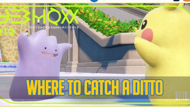 💯✨🕵👀 ENGEL GO 🚨📱 💯✨ on X: More coordinates for #Ditto around New  York 🇺🇲✨? Remember you need to catch the Pokémon, If you are lucky you  can get shiny form ✨