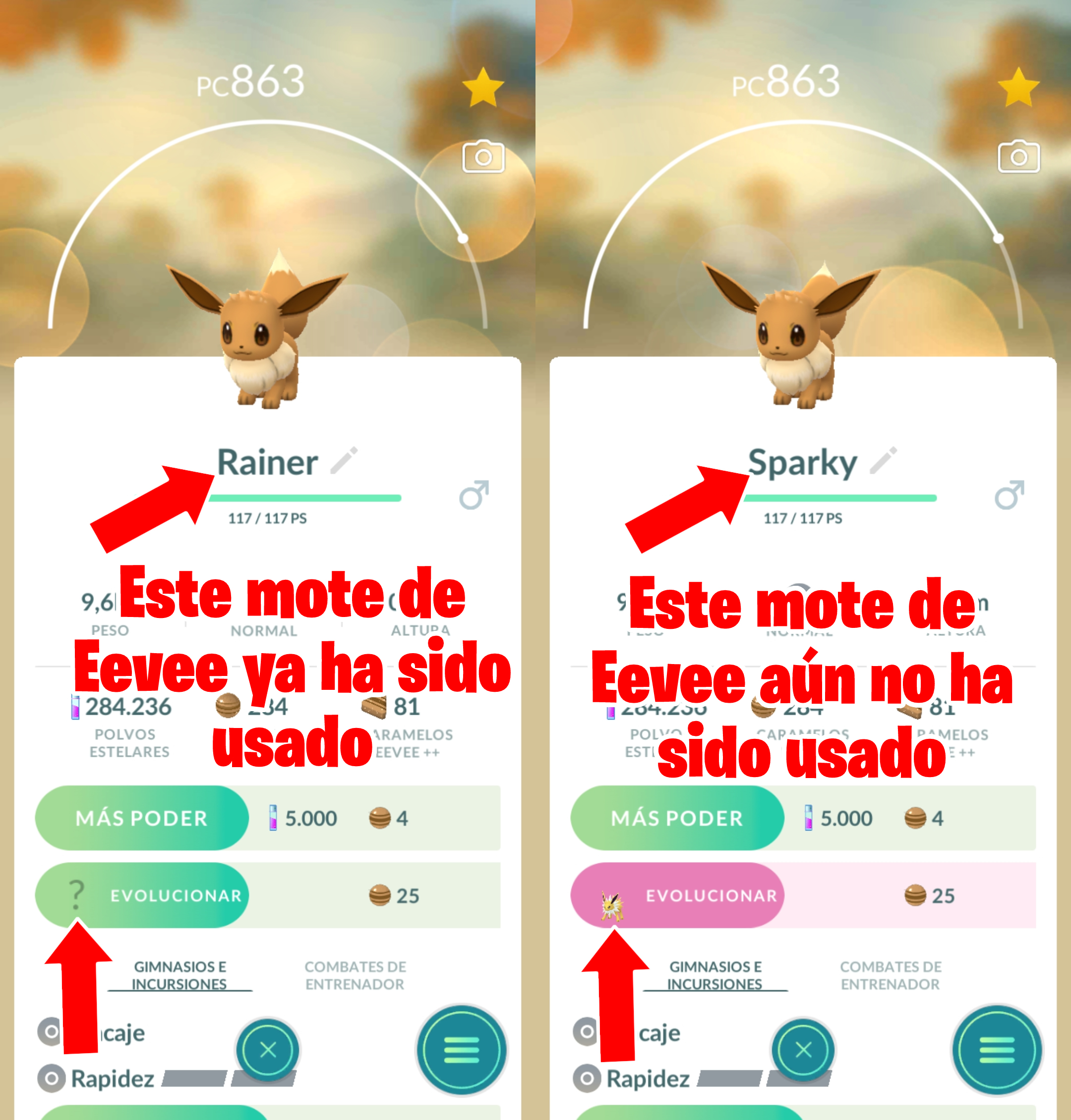 Competitivo en Pokémon: Guía Completa desde 0 - Team Eevee